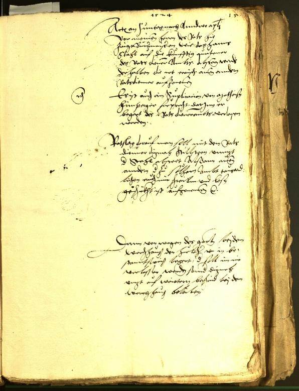 Civic Archives of Bozen-Bolzano - BOhisto Minutes of the council 1524/26 