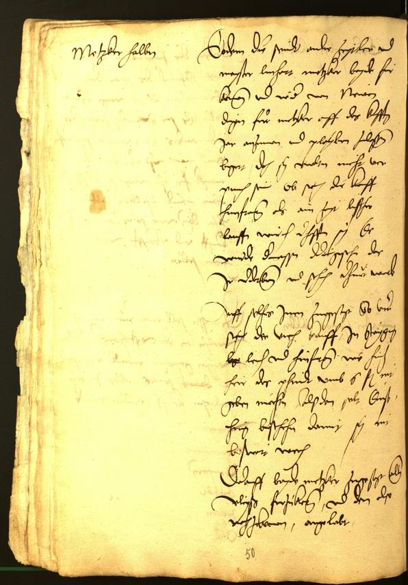 Civic Archives of Bozen-Bolzano - BOhisto Minutes of the council 1528 