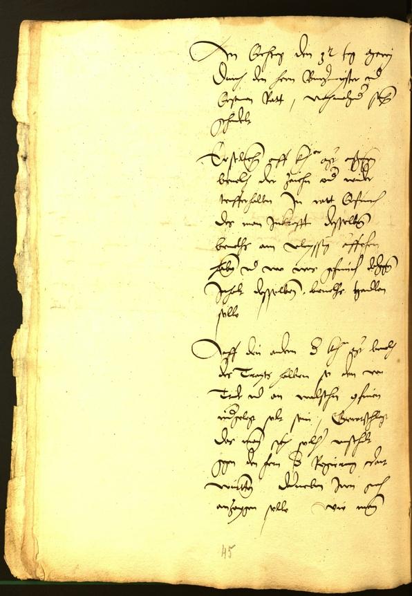 Civic Archives of Bozen-Bolzano - BOhisto Minutes of the council 1528 