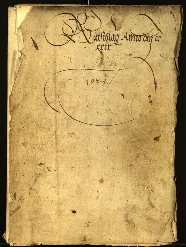 Civic Archives of Bozen-Bolzano - BOhisto Minutes of the council 1529 