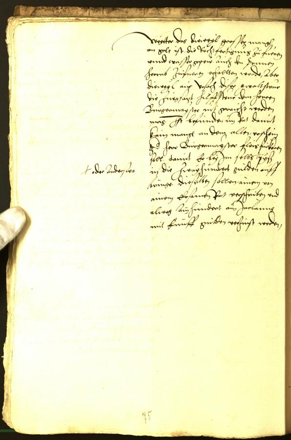 Civic Archives of Bozen-Bolzano - BOhisto Minutes of the council 1529 