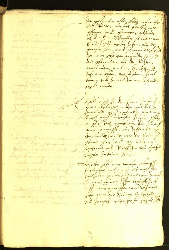 Civic Archives of Bozen-Bolzano - BOhisto Minutes of the council 1529 