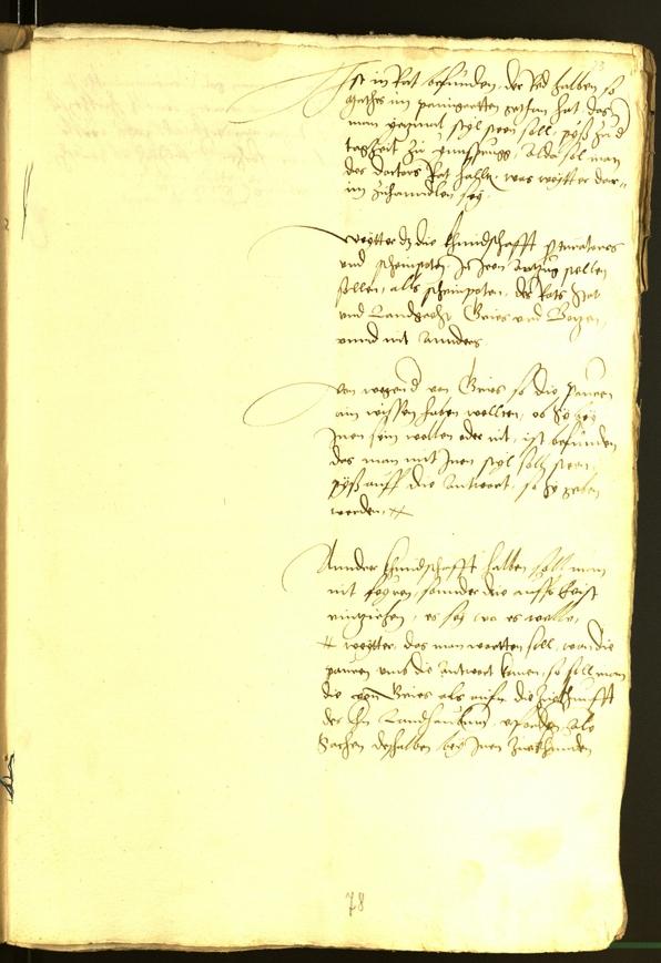 Civic Archives of Bozen-Bolzano - BOhisto Minutes of the council 1529 