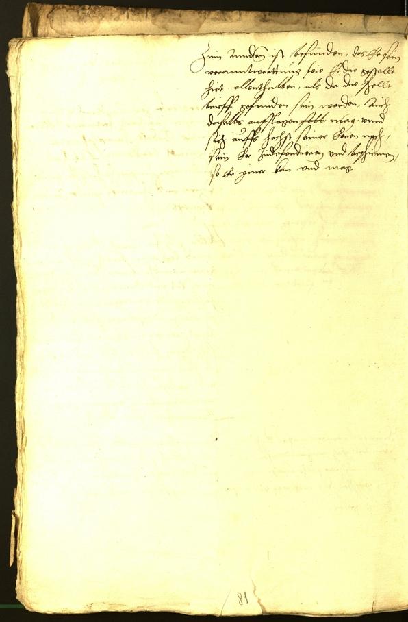 Civic Archives of Bozen-Bolzano - BOhisto Minutes of the council 1529 