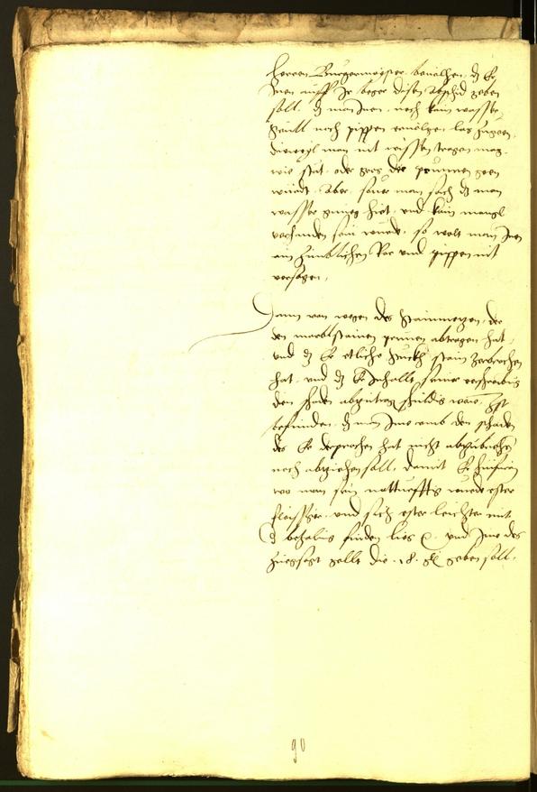 Civic Archives of Bozen-Bolzano - BOhisto Minutes of the council 1529 