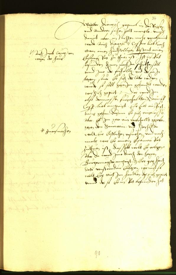 Civic Archives of Bozen-Bolzano - BOhisto Minutes of the council 1529 