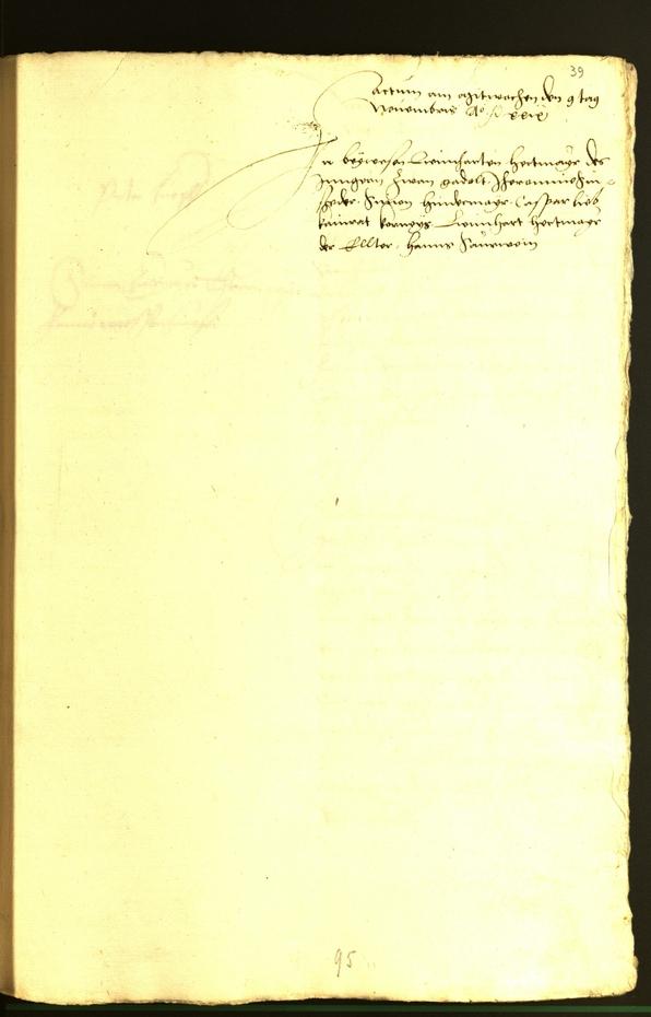 Civic Archives of Bozen-Bolzano - BOhisto Minutes of the council 1529 