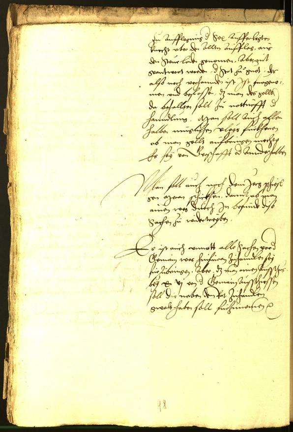 Stadtarchiv Bozen - BOhisto Ratsprotokoll 1529 