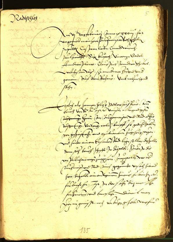 Civic Archives of Bozen-Bolzano - BOhisto Minutes of the council 1533 