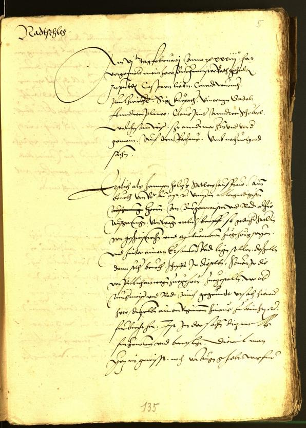 Archivio Storico della Città di Bolzano - BOhisto protocollo consiliare 1533 