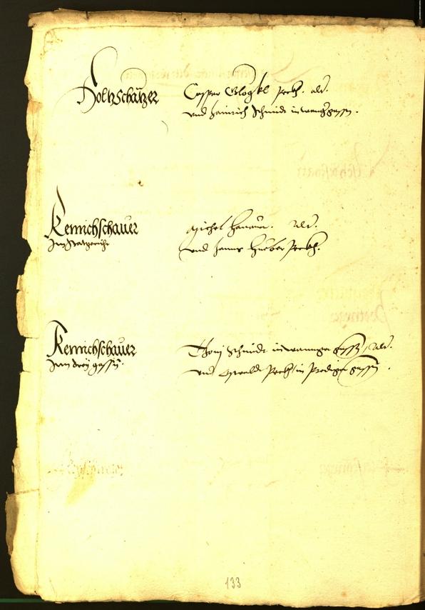 Civic Archives of Bozen-Bolzano - BOhisto Minutes of the council 1533 