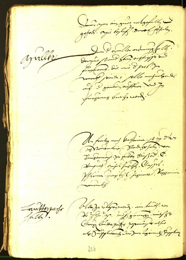 Civic Archives of Bozen-Bolzano - BOhisto Minutes of the council 1534 