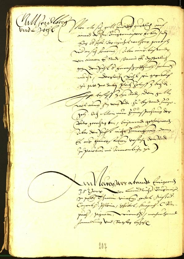 Civic Archives of Bozen-Bolzano - BOhisto Minutes of the council 1534 