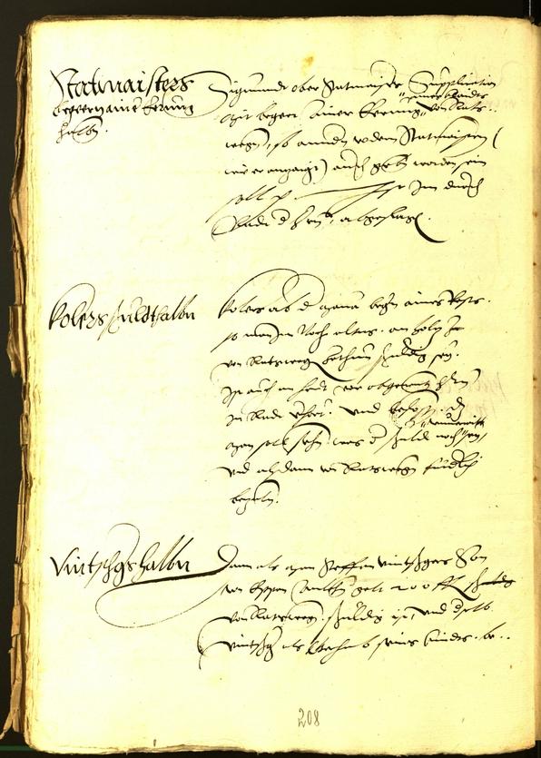 Civic Archives of Bozen-Bolzano - BOhisto Minutes of the council 1534 