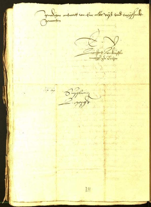 Civic Archives of Bozen-Bolzano - BOhisto Minutes of the council 1534 