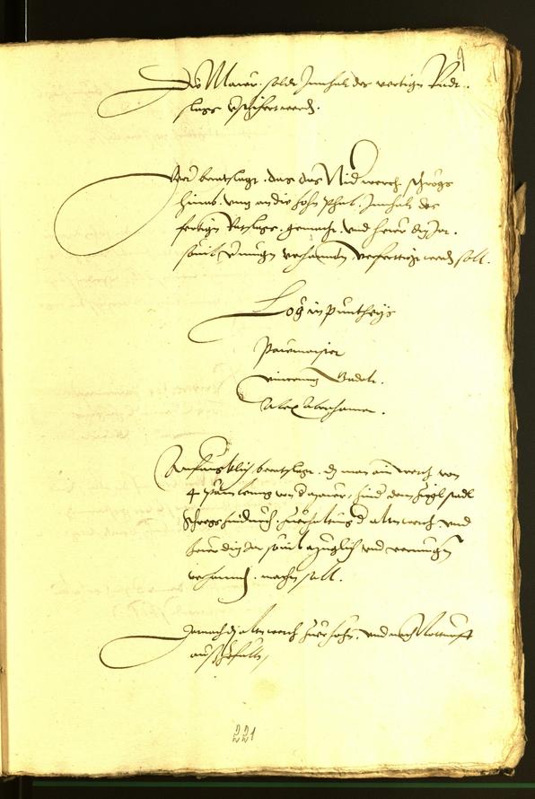 Civic Archives of Bozen-Bolzano - BOhisto Minutes of the council 1535 