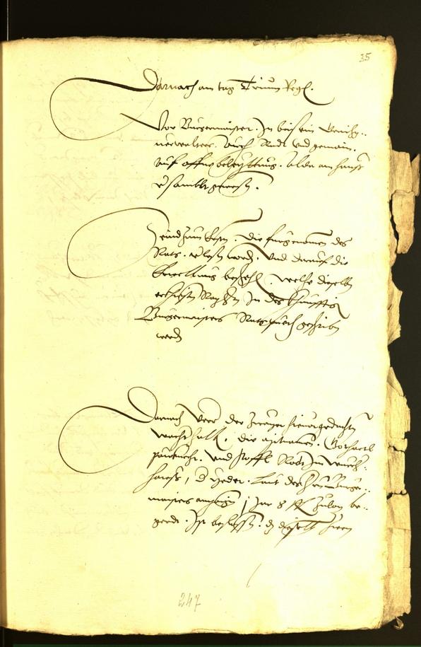 Civic Archives of Bozen-Bolzano - BOhisto Minutes of the council 1535 