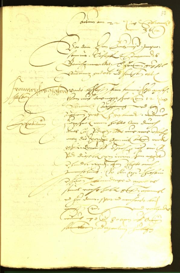 Civic Archives of Bozen-Bolzano - BOhisto Minutes of the council 1536 