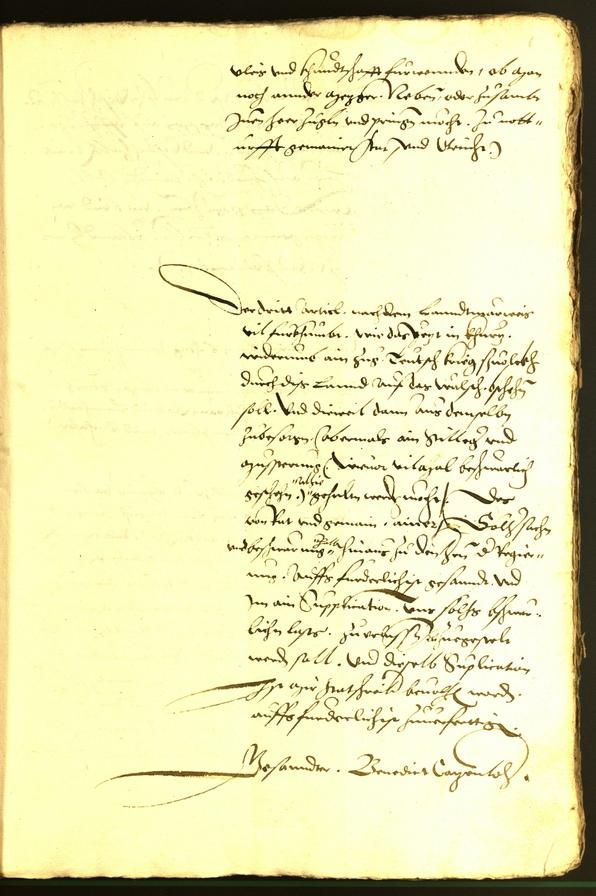 Civic Archives of Bozen-Bolzano - BOhisto Minutes of the council 1536 