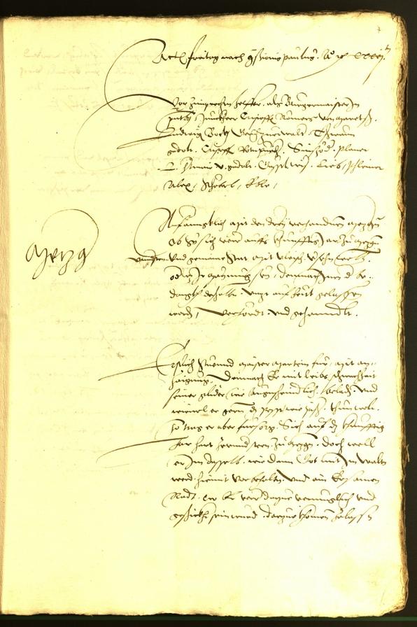 Civic Archives of Bozen-Bolzano - BOhisto Minutes of the council 1536 