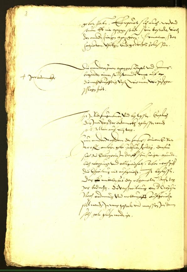 Civic Archives of Bozen-Bolzano - BOhisto Minutes of the council 1536 