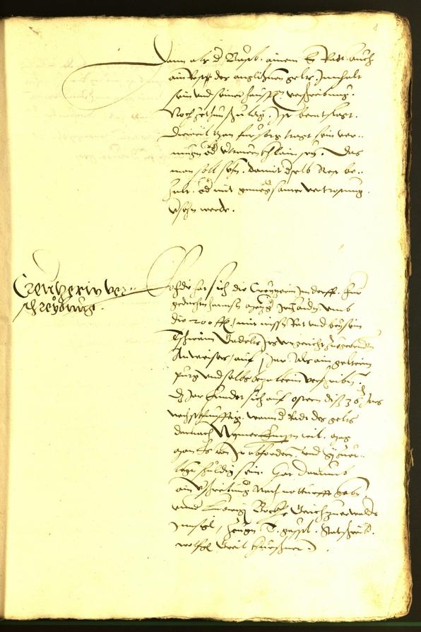 Civic Archives of Bozen-Bolzano - BOhisto Minutes of the council 1536 