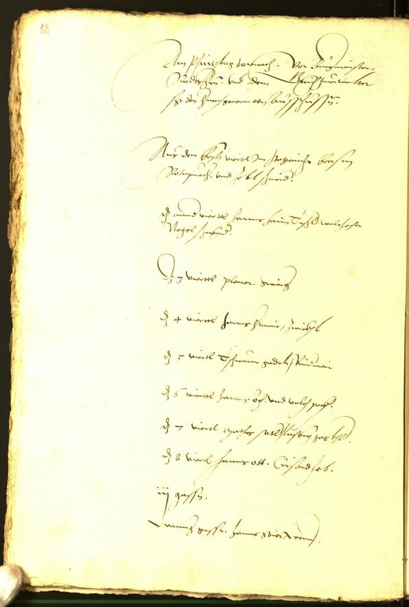 Civic Archives of Bozen-Bolzano - BOhisto Minutes of the council 1536 