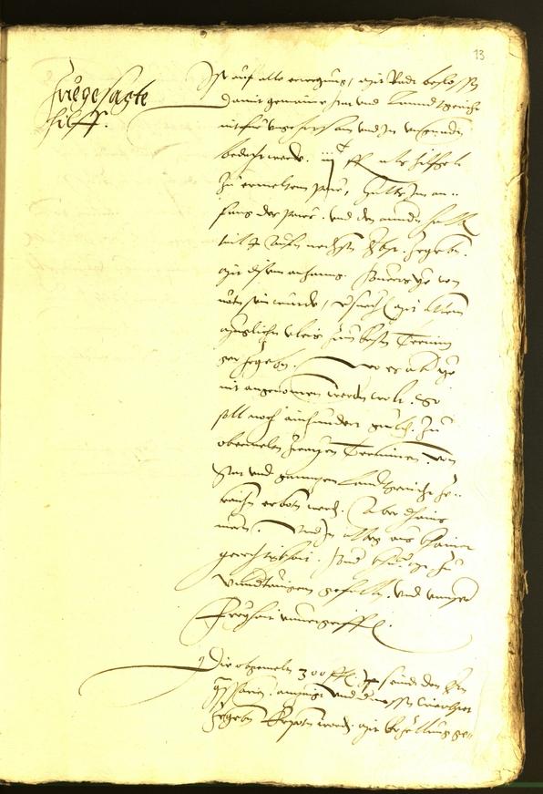 Civic Archives of Bozen-Bolzano - BOhisto Minutes of the council 1536 