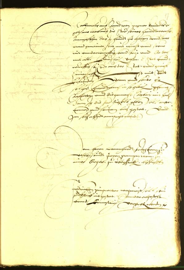 Civic Archives of Bozen-Bolzano - BOhisto Minutes of the council 1536 