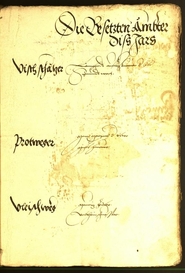 Civic Archives of Bozen-Bolzano - BOhisto Minutes of the council 1536 