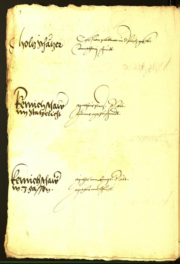 Civic Archives of Bozen-Bolzano - BOhisto Minutes of the council 1536 