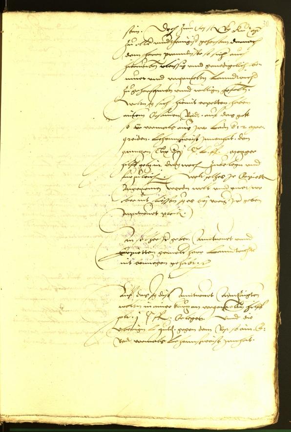 Civic Archives of Bozen-Bolzano - BOhisto Minutes of the council 1536 