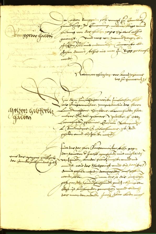 Civic Archives of Bozen-Bolzano - BOhisto Minutes of the council 1536 