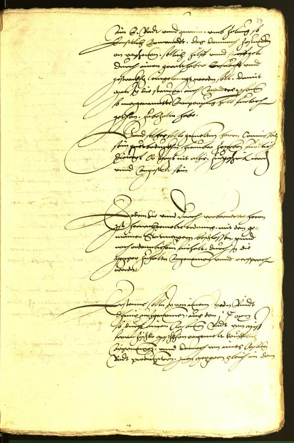 Civic Archives of Bozen-Bolzano - BOhisto Minutes of the council 1536 