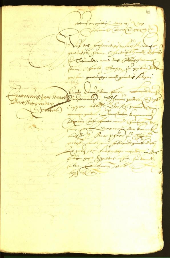 Civic Archives of Bozen-Bolzano - BOhisto Minutes of the council 1536 