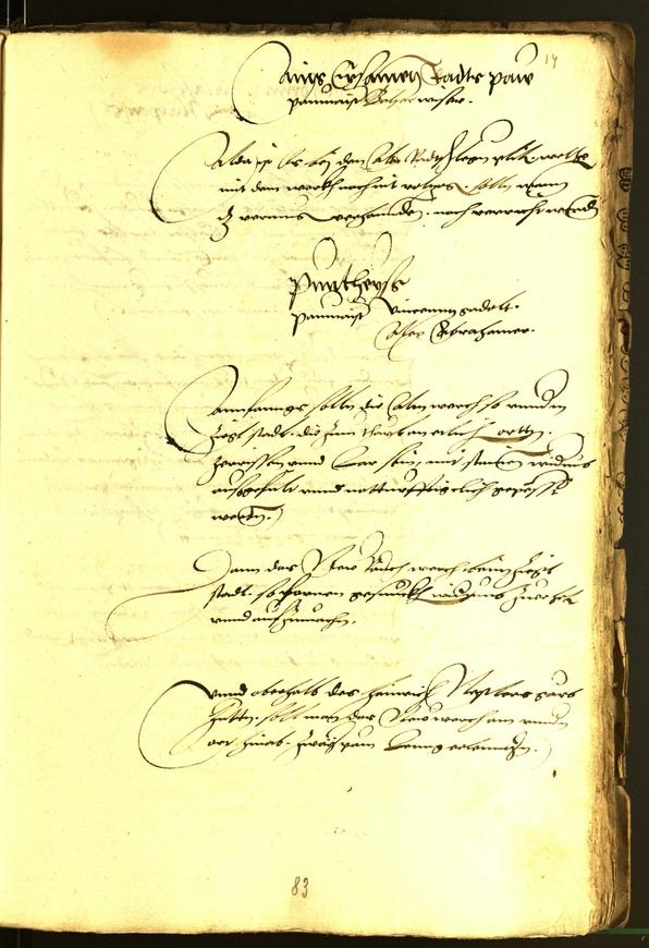 Archivio Storico della Città di Bolzano - BOhisto protocollo consiliare 1537 