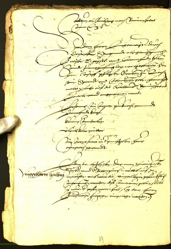 Archivio Storico della Città di Bolzano - BOhisto protocollo consiliare 1537 