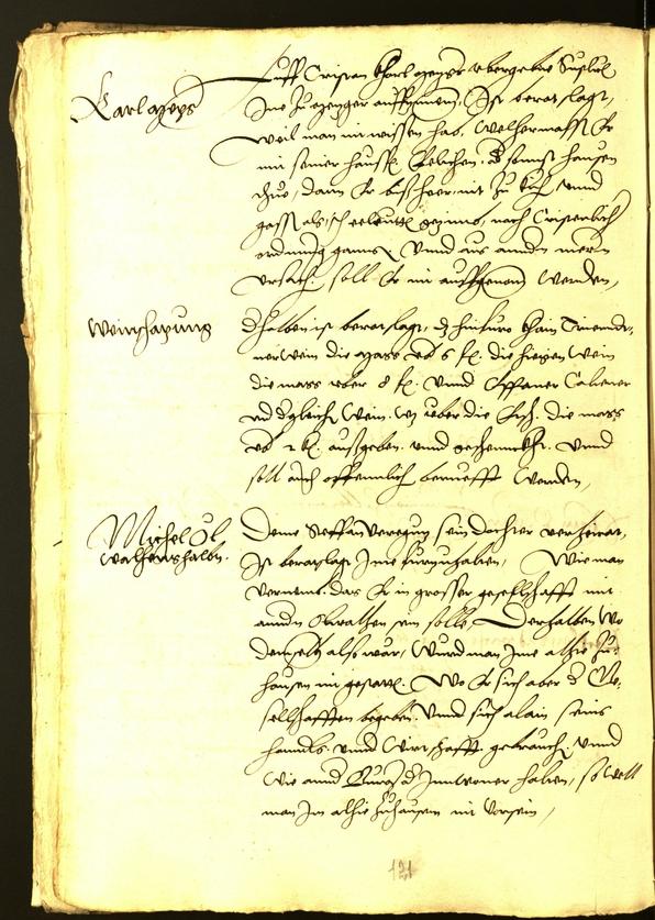 Civic Archives of Bozen-Bolzano - BOhisto Minutes of the council 1539 