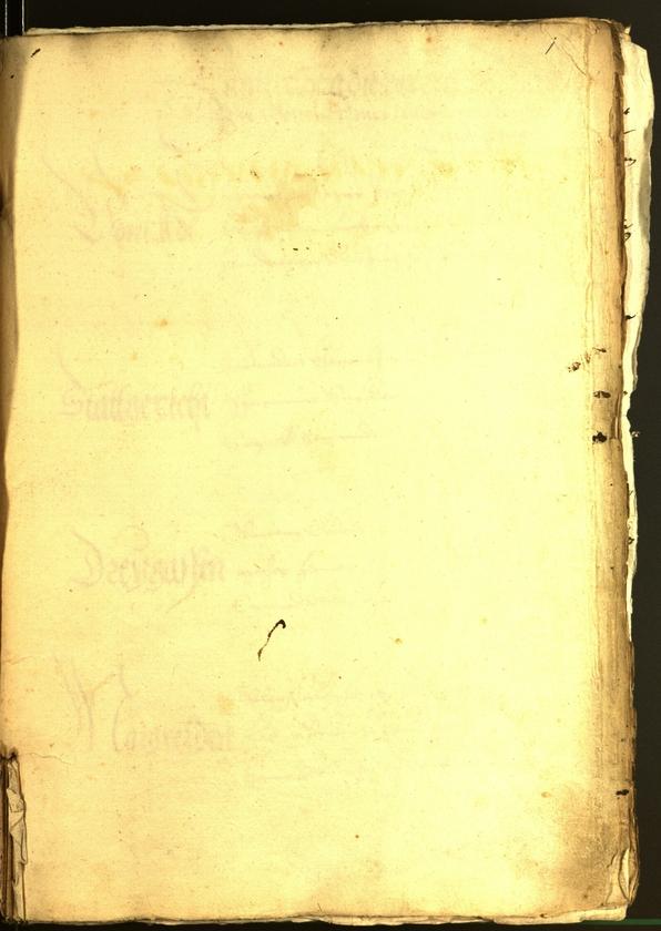 Civic Archives of Bozen-Bolzano - BOhisto Minutes of the council 1539 