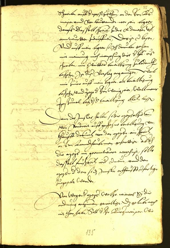 Civic Archives of Bozen-Bolzano - BOhisto Minutes of the council 1539 