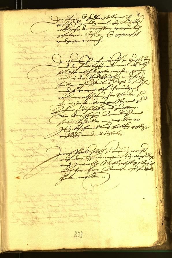 Civic Archives of Bozen-Bolzano - BOhisto Minutes of the council 1541 