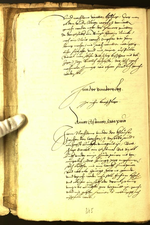 Civic Archives of Bozen-Bolzano - BOhisto Minutes of the council 1541 