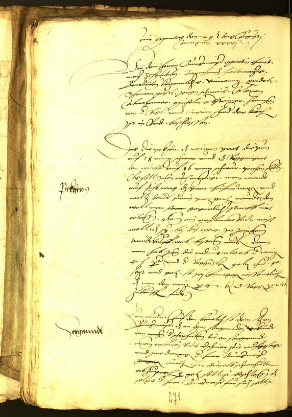 Civic Archives of Bozen-Bolzano - BOhisto Minutes of the council 1541 