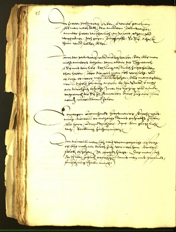 Stadtarchiv Bozen - BOhisto Ratsprotokoll 1542 