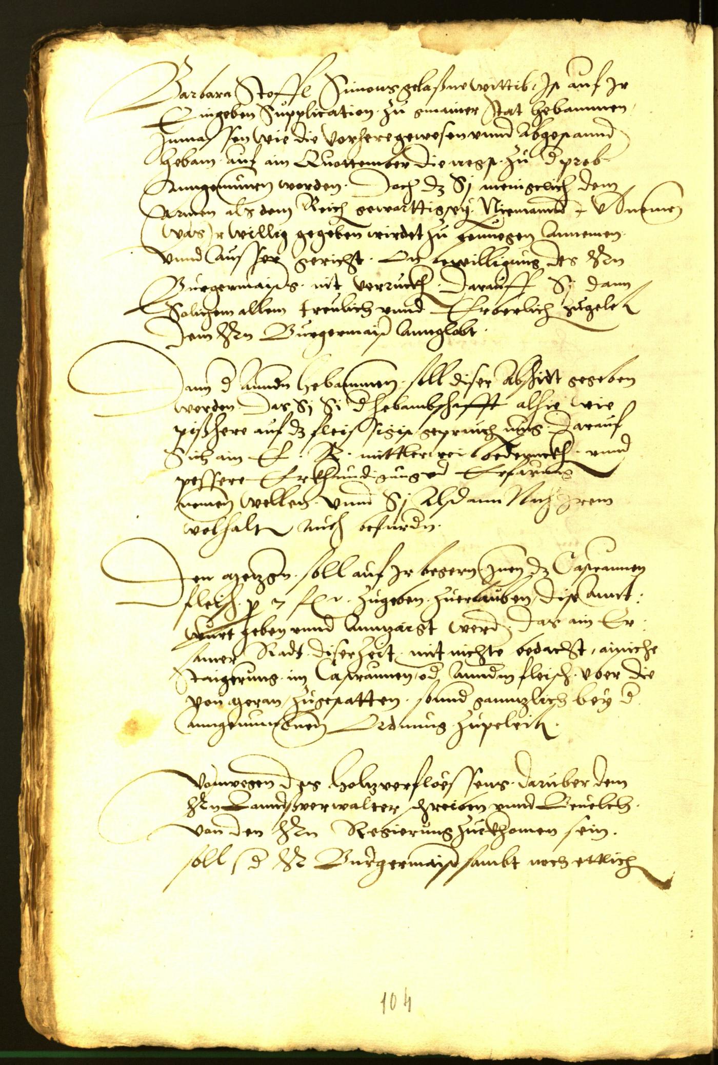 Archivio Storico della Città di Bolzano - BOhisto protocollo consiliare 1543 