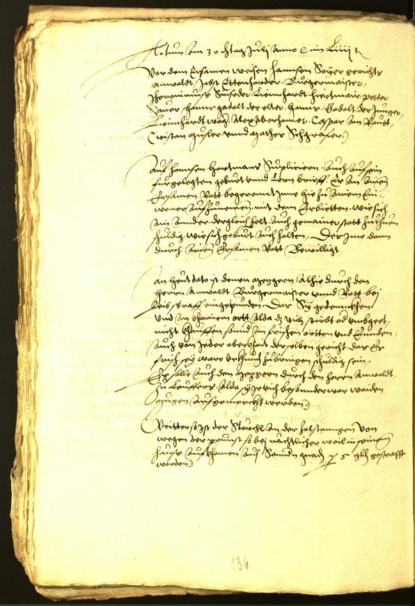 Stadtarchiv Bozen - BOhisto Ratsprotokoll 1556 