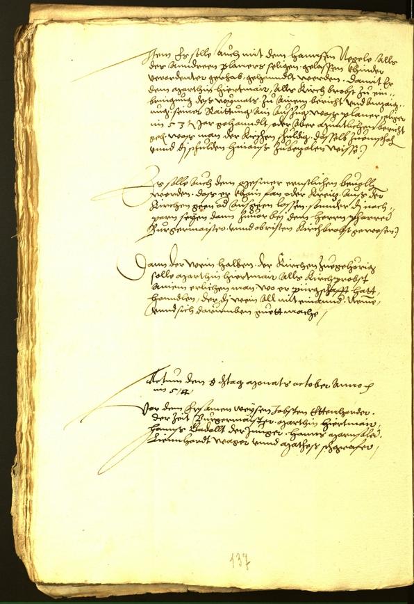 Stadtarchiv Bozen - BOhisto Ratsprotokoll 1556 