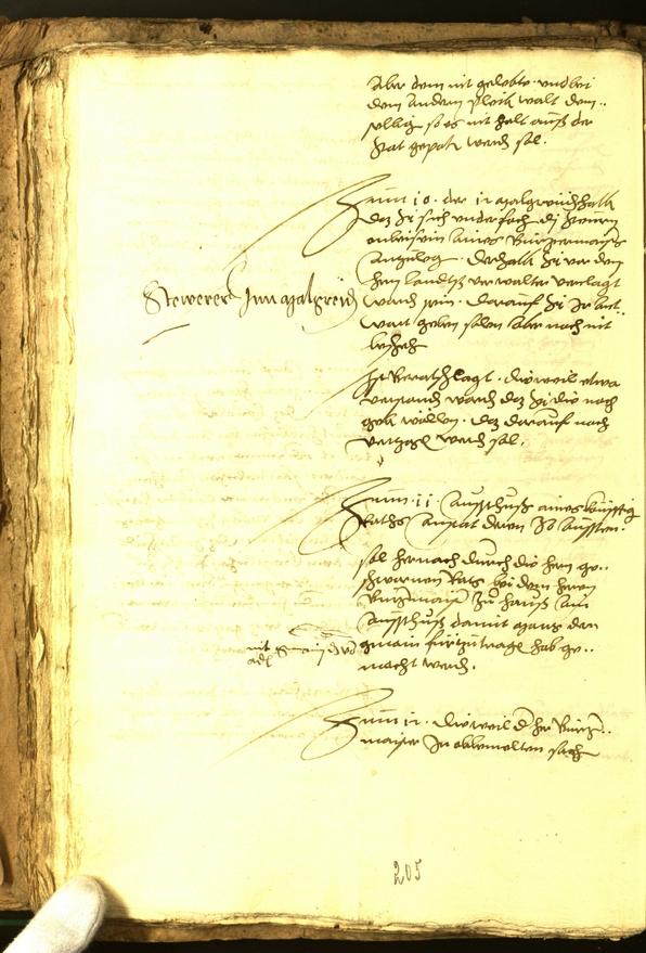 Stadtarchiv Bozen - BOhisto Ratsprotokoll 1556 