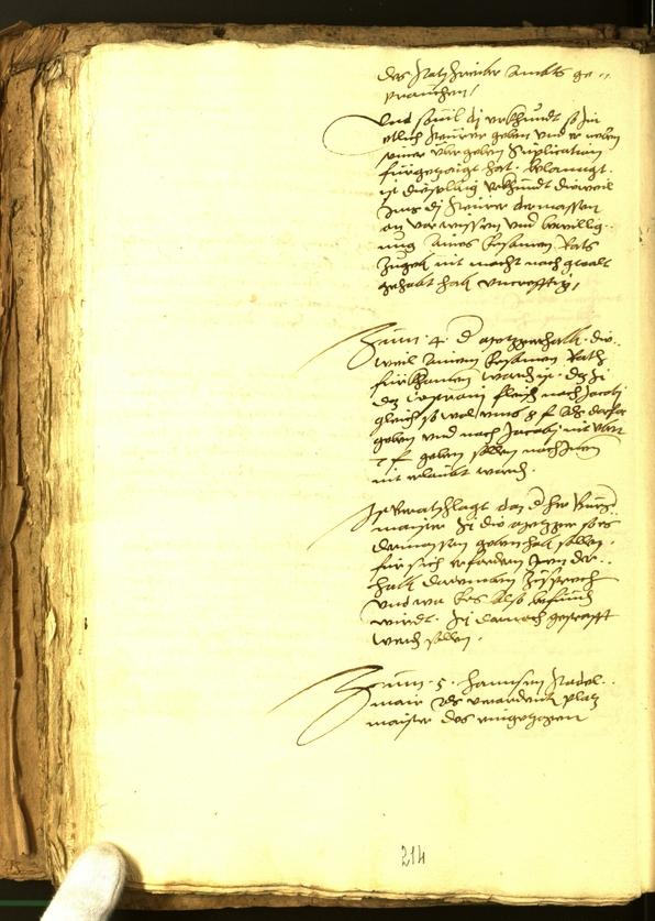 Civic Archives of Bozen-Bolzano - BOhisto Minutes of the council 1556 