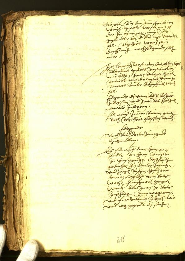 Civic Archives of Bozen-Bolzano - BOhisto Minutes of the council 1556 